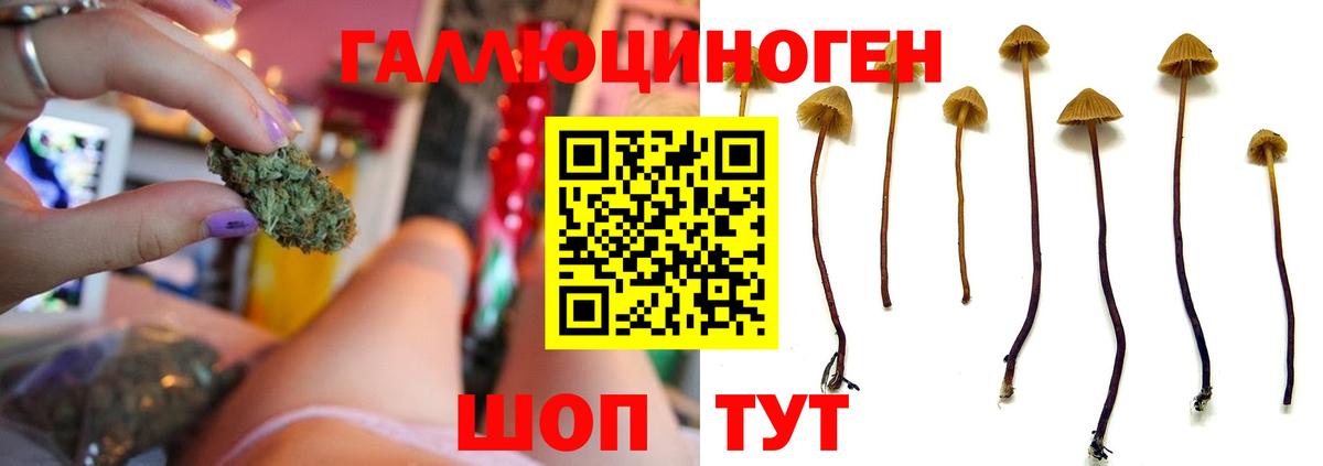 Псилоцибиновые грибы MAGIC MUSHROOMS  Псилоцибиновые грибы мицелий  Вход с VPN  Краснознаменск 